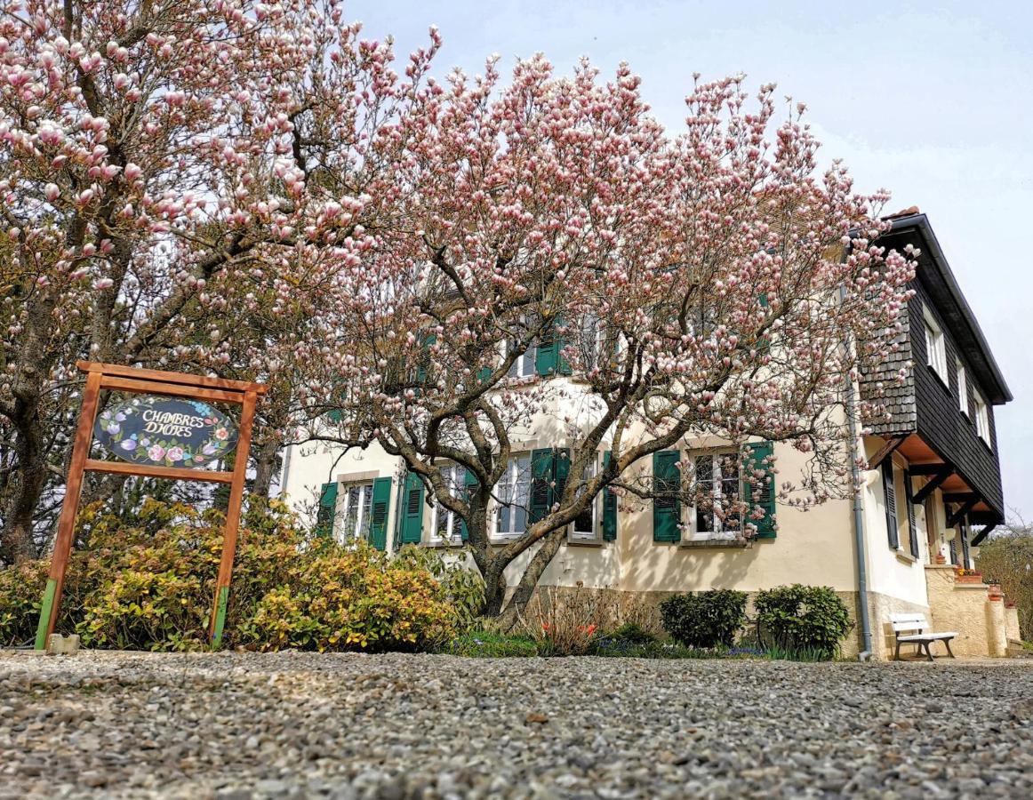 Cosswiller La Tirelire Bed & Breakfast エクステリア 写真