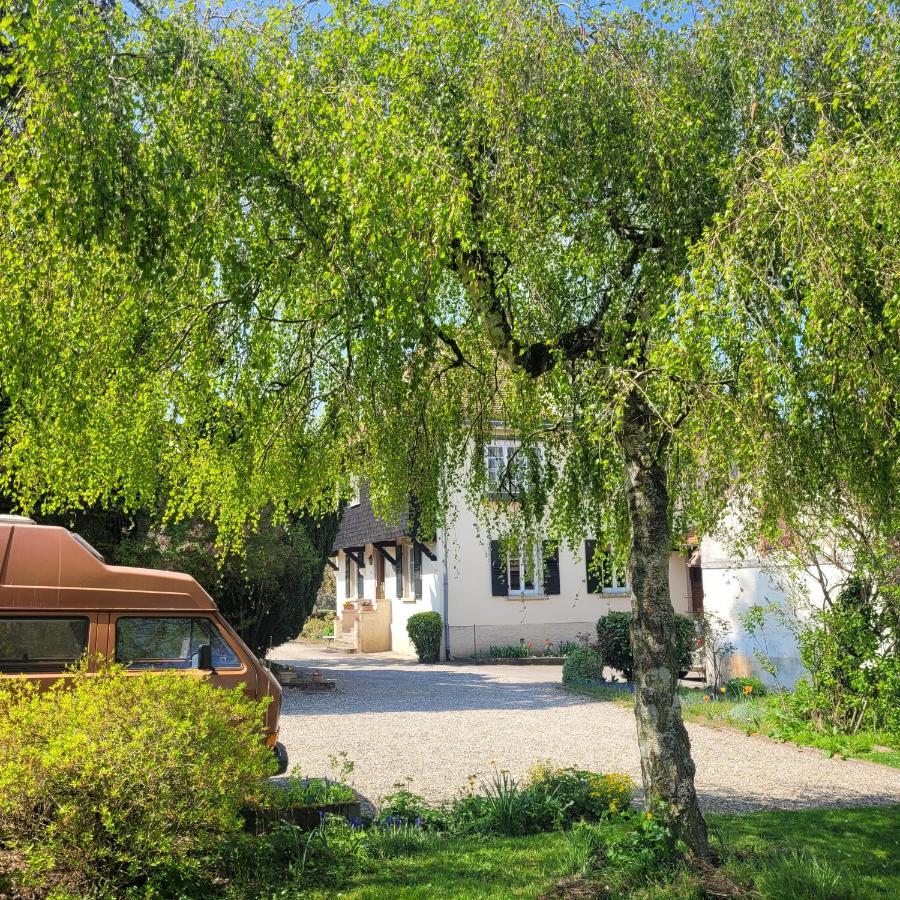Cosswiller La Tirelire Bed & Breakfast エクステリア 写真